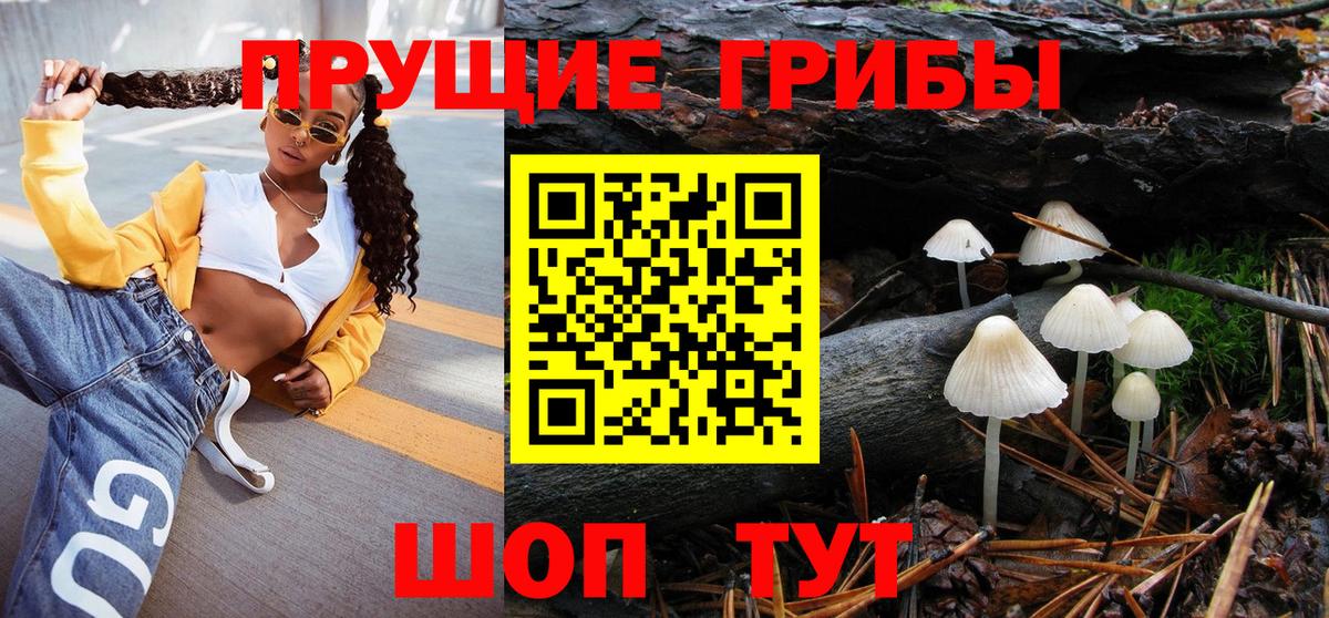 Галлюциногенные грибы Psilocybe Киселёвск