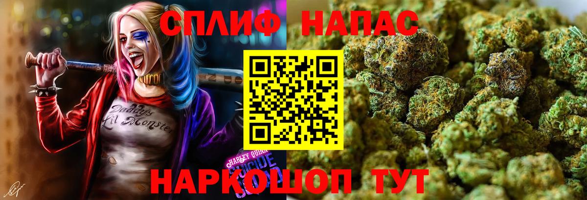Каннабис план  Марихуана планчик  Киселёвск  Вход с VPN  Шишки марихуана VHQ 